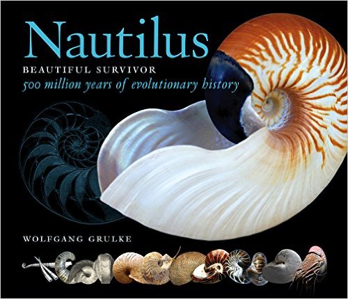 Nautilus Beautiful Survivor book uk